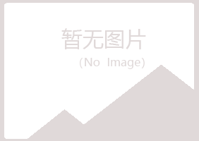 鹿泉夏日工程有限公司